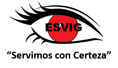 ESVIG SECURITY